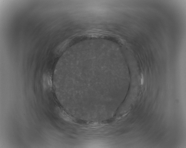 X0000066941155200604142016