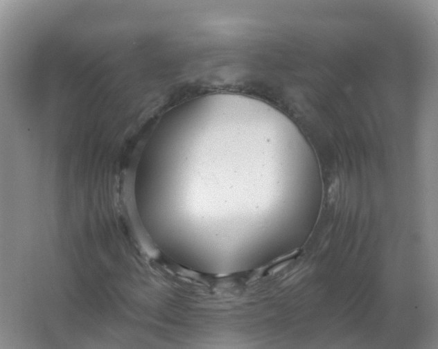 X0000066941156200604142016