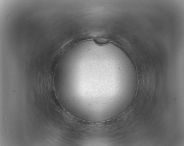 X0000066941158200604142016