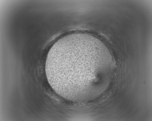 X0000066941159200604142016