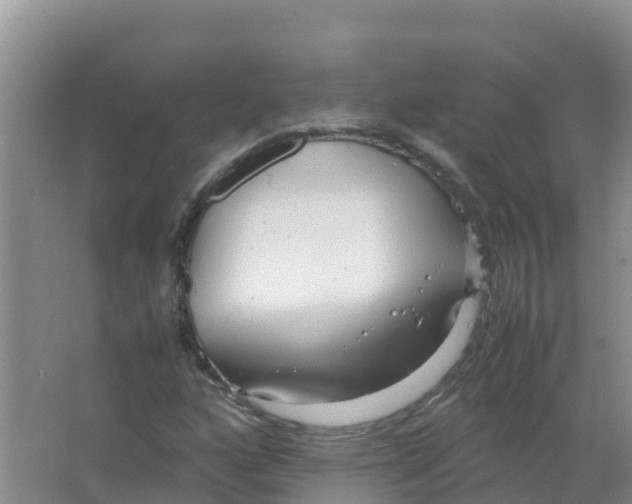 X0000066941160200604142016