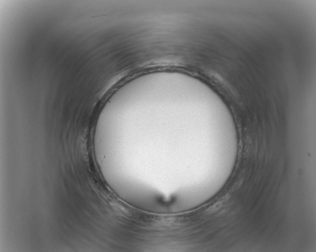 X0000066941162200604142016