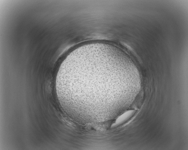 X0000066941163200604142016