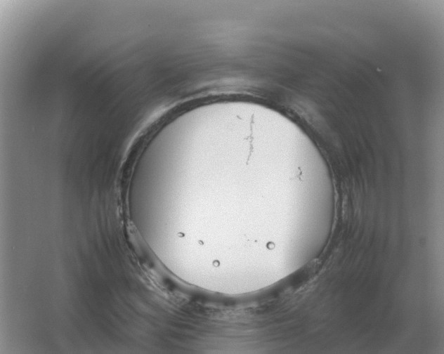 X0000066941164200604142016