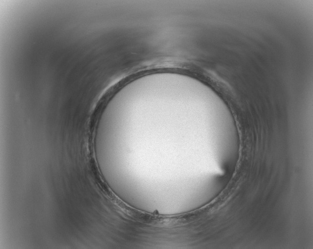 X0000066941166200604142016