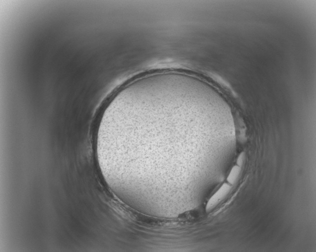 X0000066941167200604142016