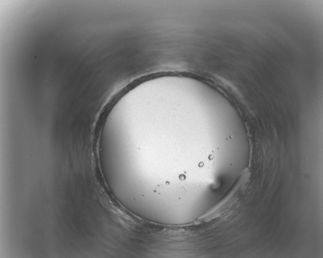 X0000066941168200604142016