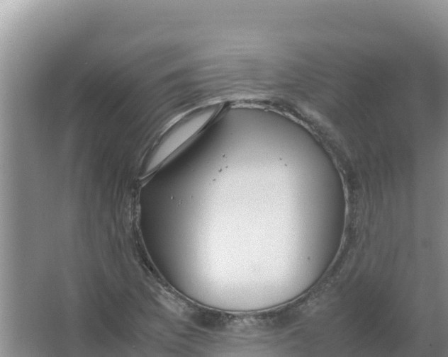 X0000066941169200604142016