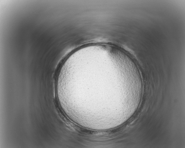 X0000066941171200604142016