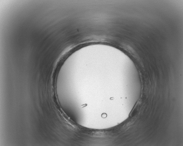 X0000066941172200604142016