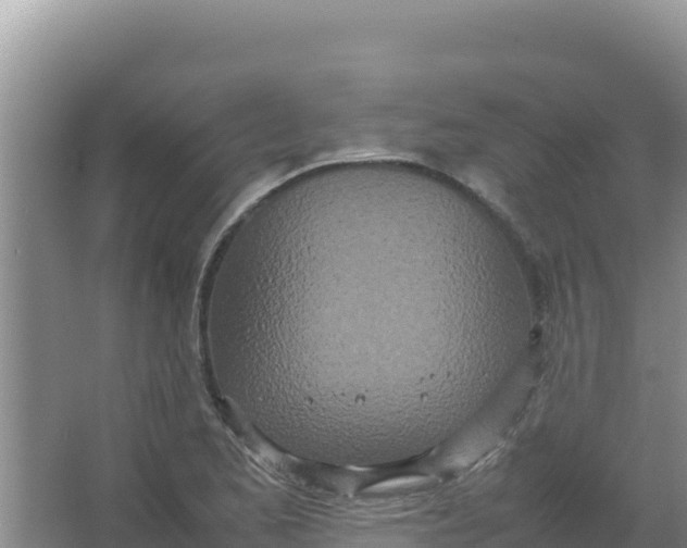 X0000066941173200604142016