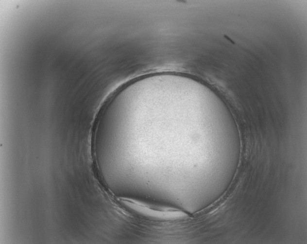 X0000066941174200604142016