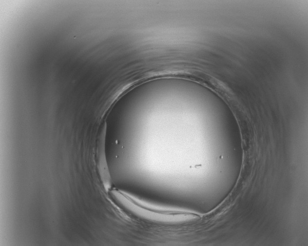 X0000066941177200604142016