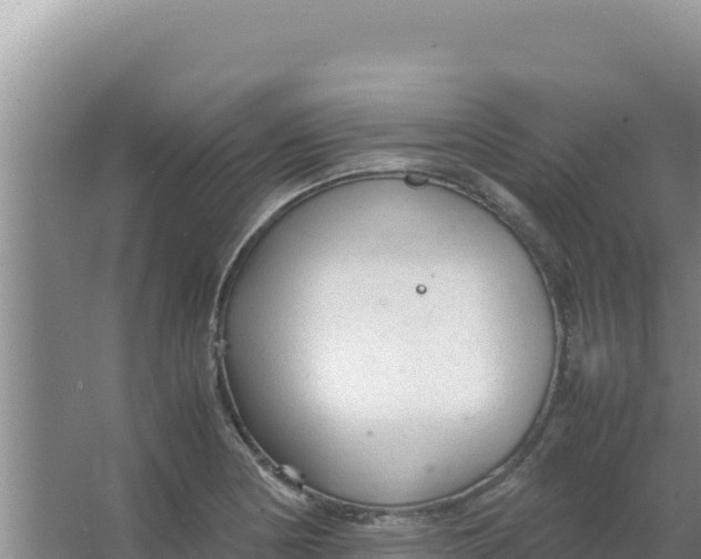 X0000066941178200604142016