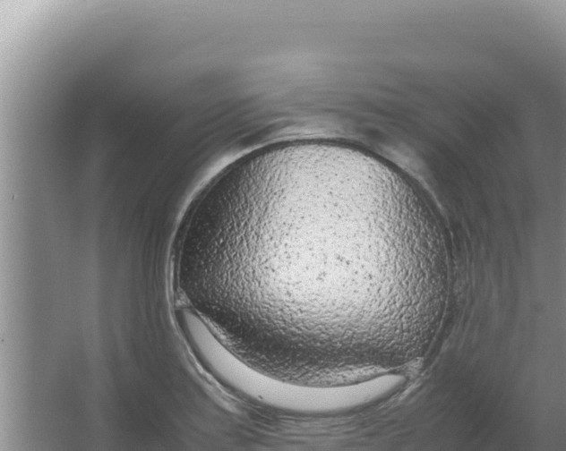 X0000066941179200604142016