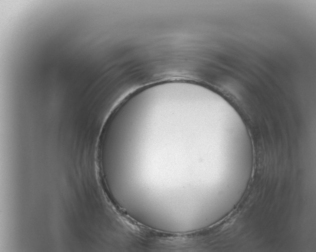 X0000066941182200604142016