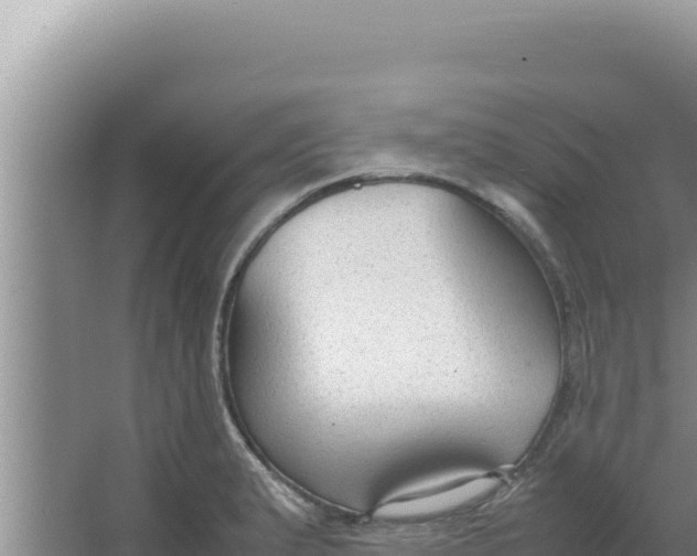 X0000066941183200604142016