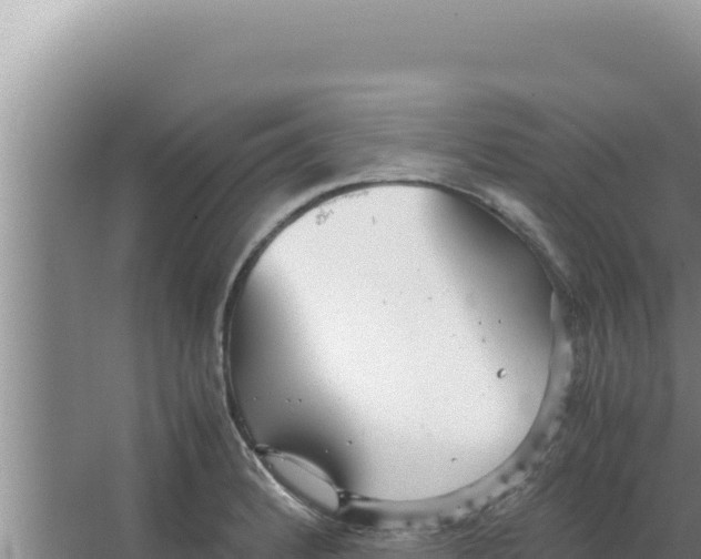 X0000066941184200604142016