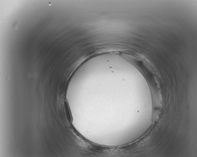 X0000066941185200604142016