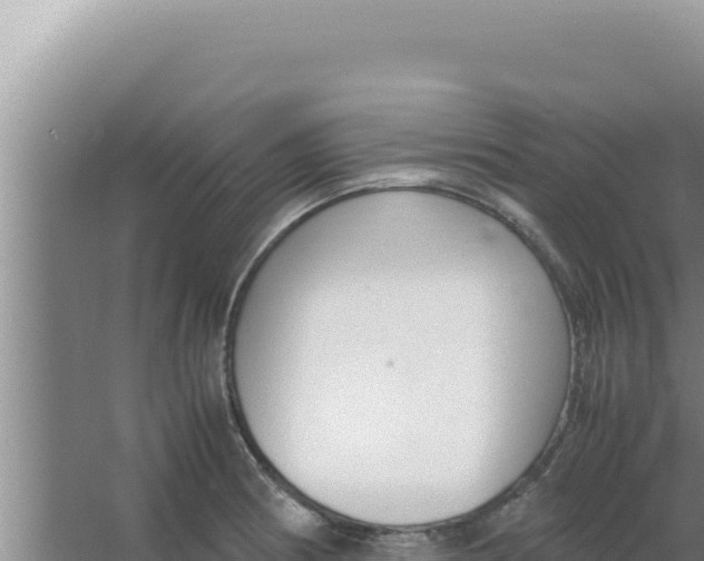 X0000066941186200604142016