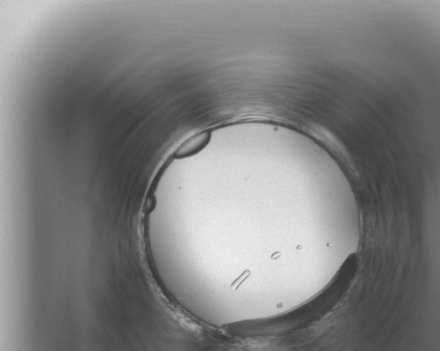 X0000066941190200604142015