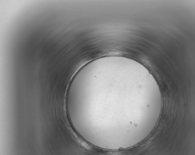 X0000066941194200604142015