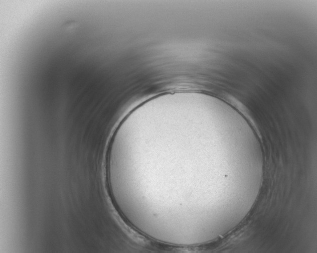 X0000066941195200604142015