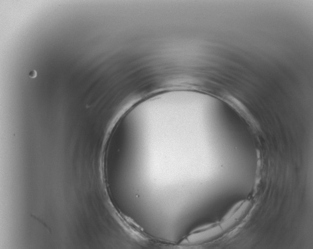 X0000066941196200604142015