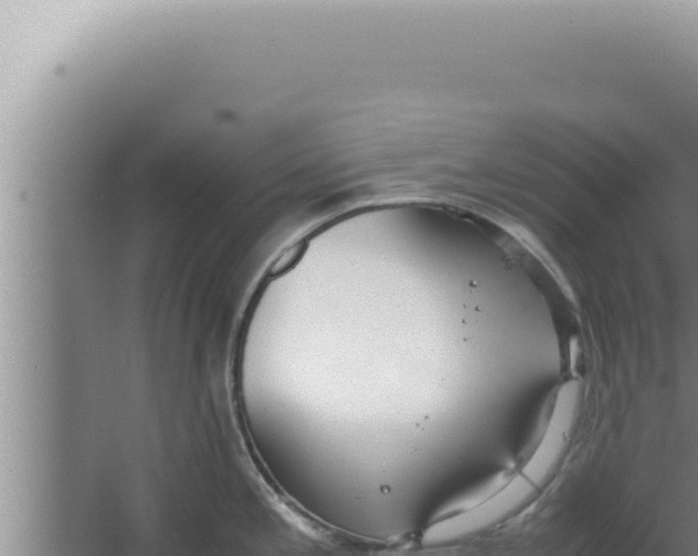 X0000066941197200604142015