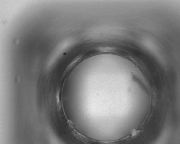 X0000066941198200604142015