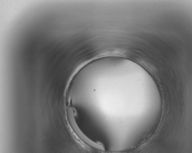 X0000066941200200604142015