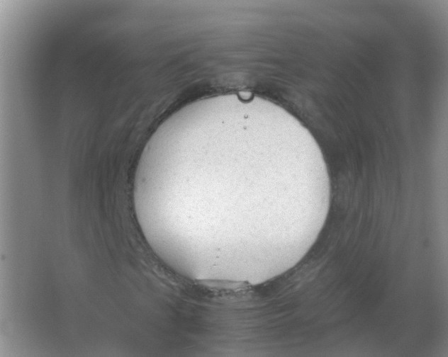 X0000066941201200604142015