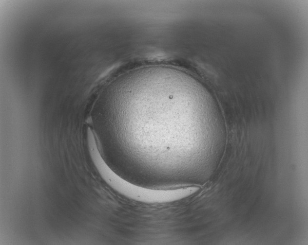 X0000066941205200604142015