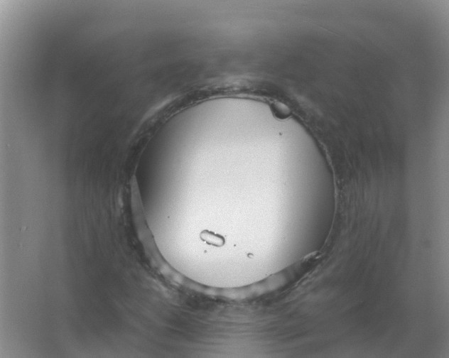 X0000066941206200604142015