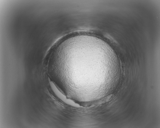 X0000066941208200604142015