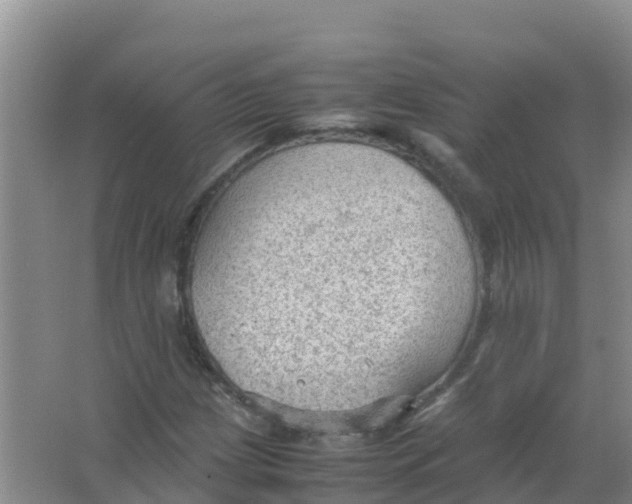 X0000066941209200604142015