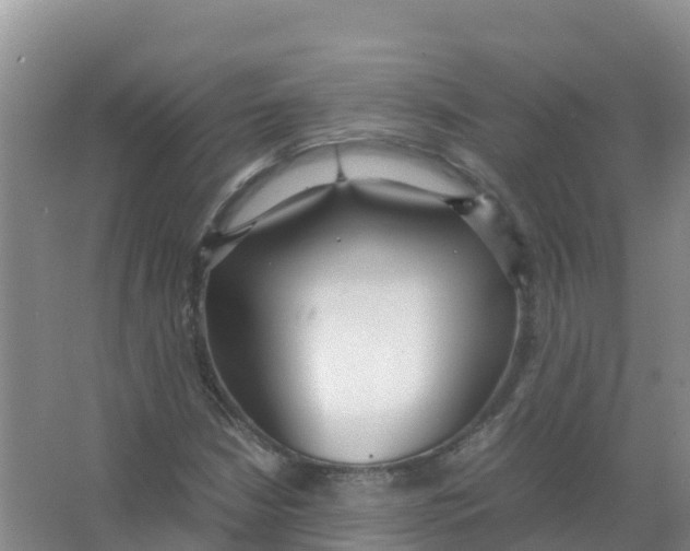 X0000066941210200604142015