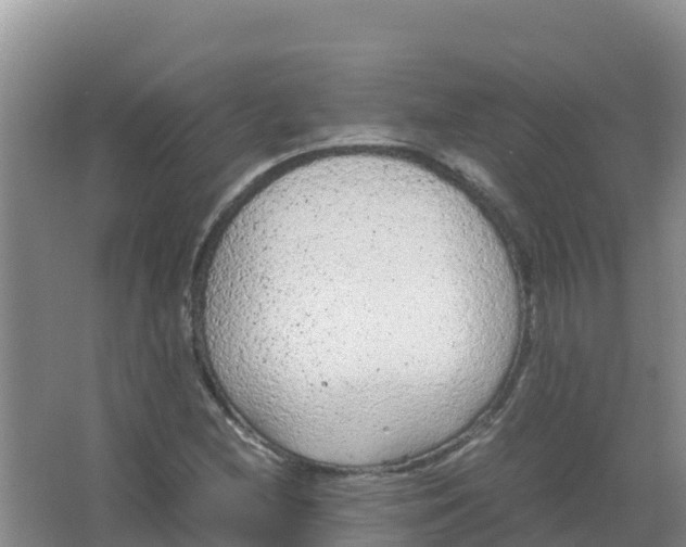 X0000066941212200604142015