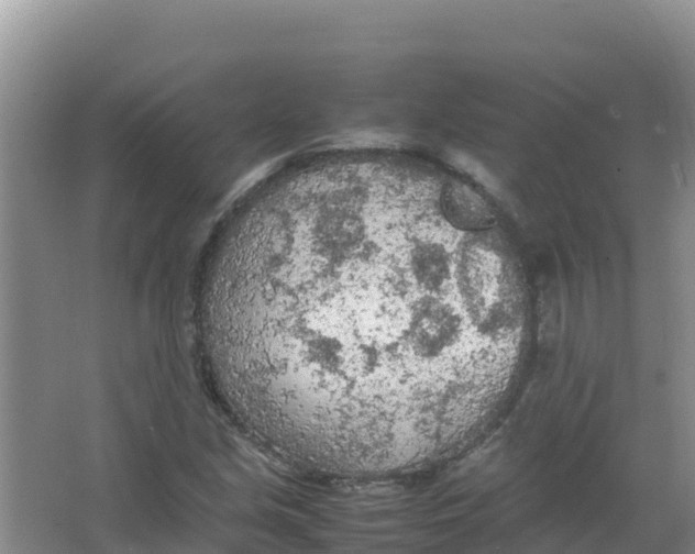 X0000066941213200604142015