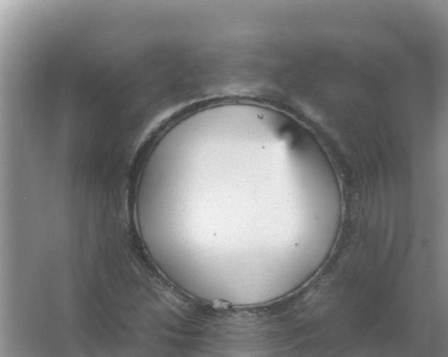 X0000066941214200604142015