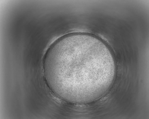 X0000066941215200604142015