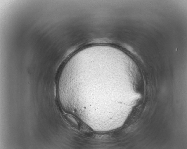 X0000066941221200604142015