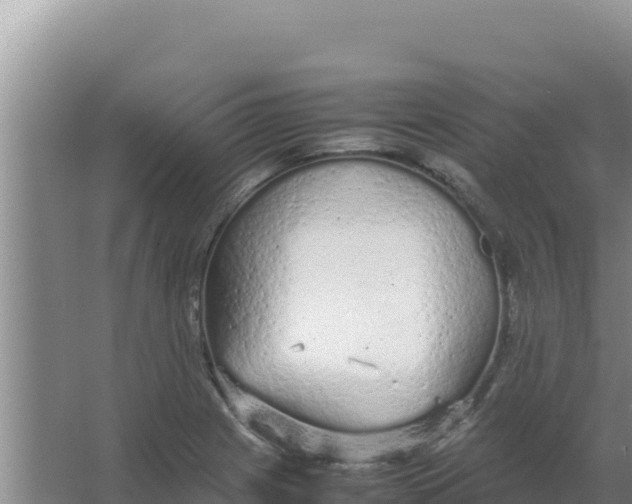 X0000066941225200604142015