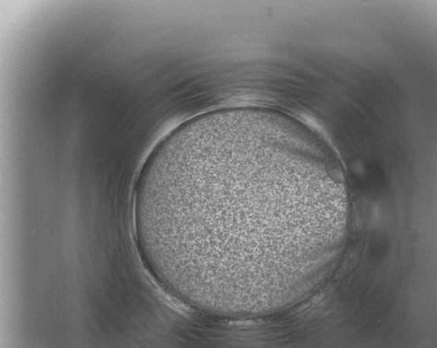 X0000066941227200604142015