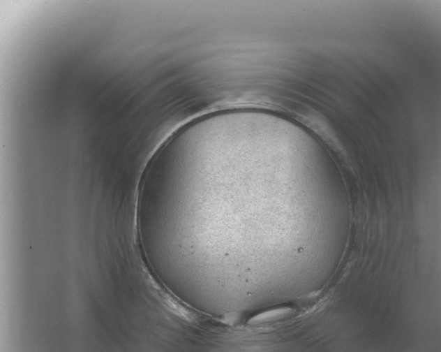 X0000066941228200604142015