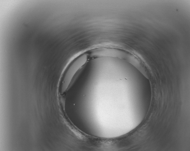 X0000066941230200604142015