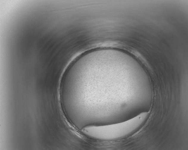 X0000066941232200604142015