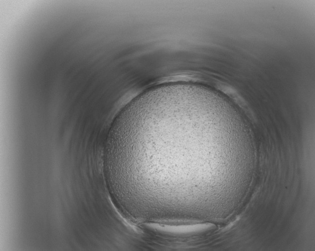 X0000066941233200604142015