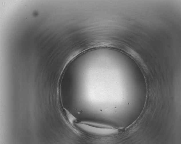 X0000066941234200604142015