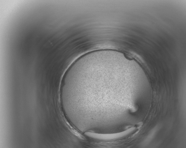 X0000066941236200604142015